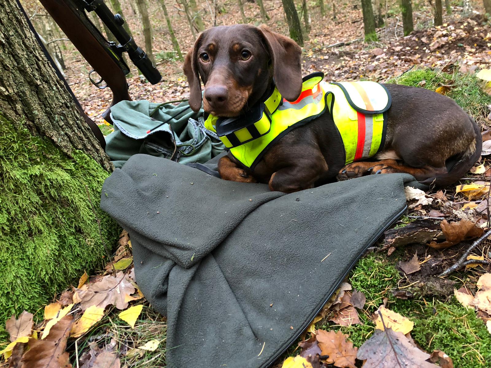  Rabiata zur DJ in der Eifel 