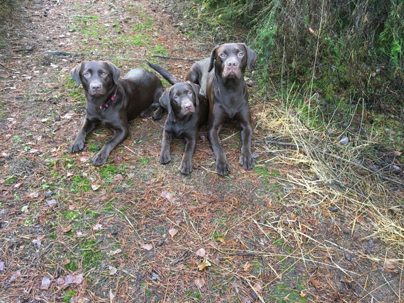  Rechts Denzel in der Mitte seine Tochte 