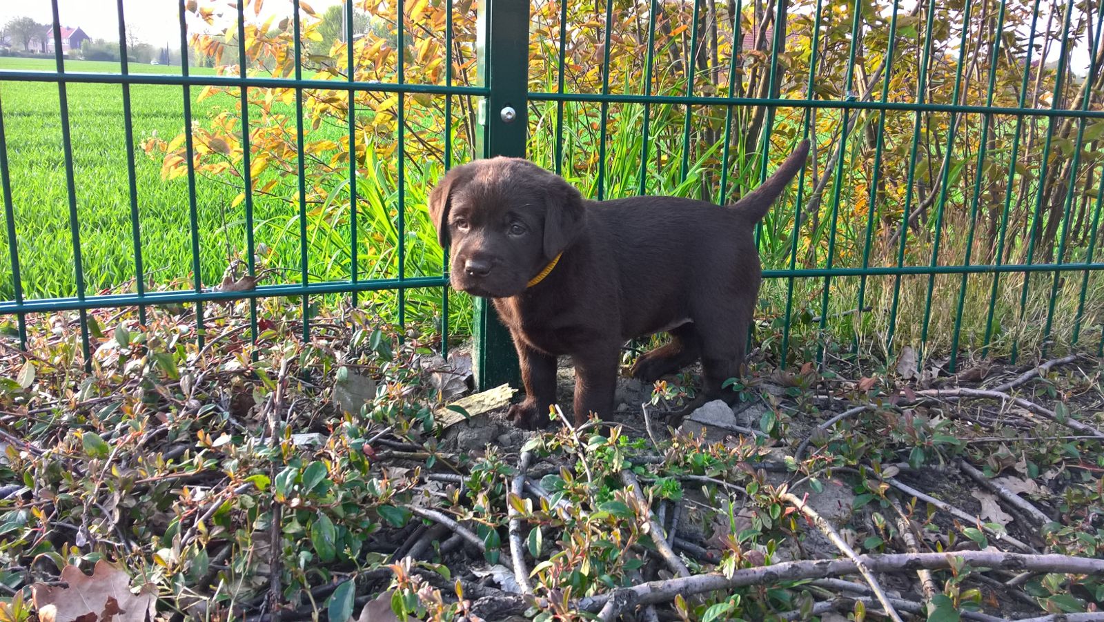  Auf dem Wall hat man den besten Ausblick 