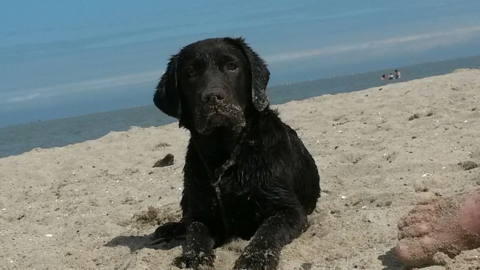  Urlaubsgrüße von der Ostsee schickt Alex 