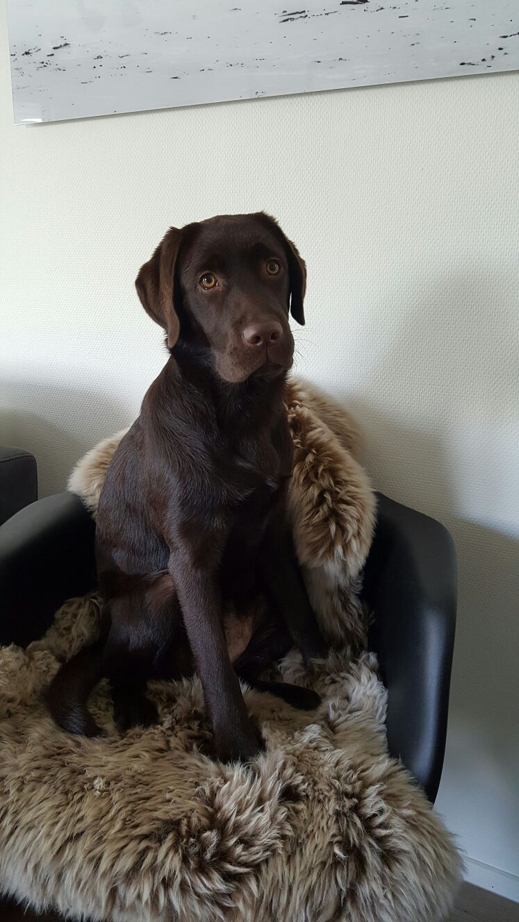  Anny/Emma freut sich auf Weihnachten 