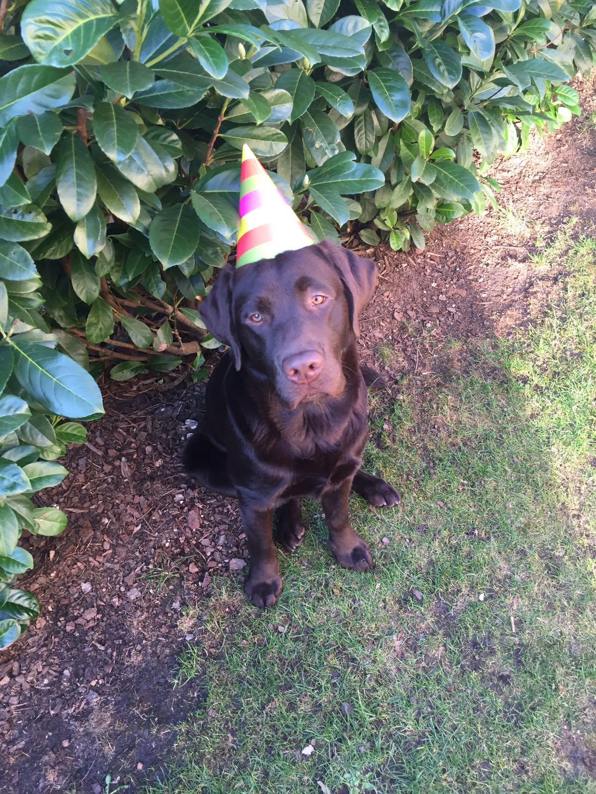  Aze feiert ersten Geburtstag 