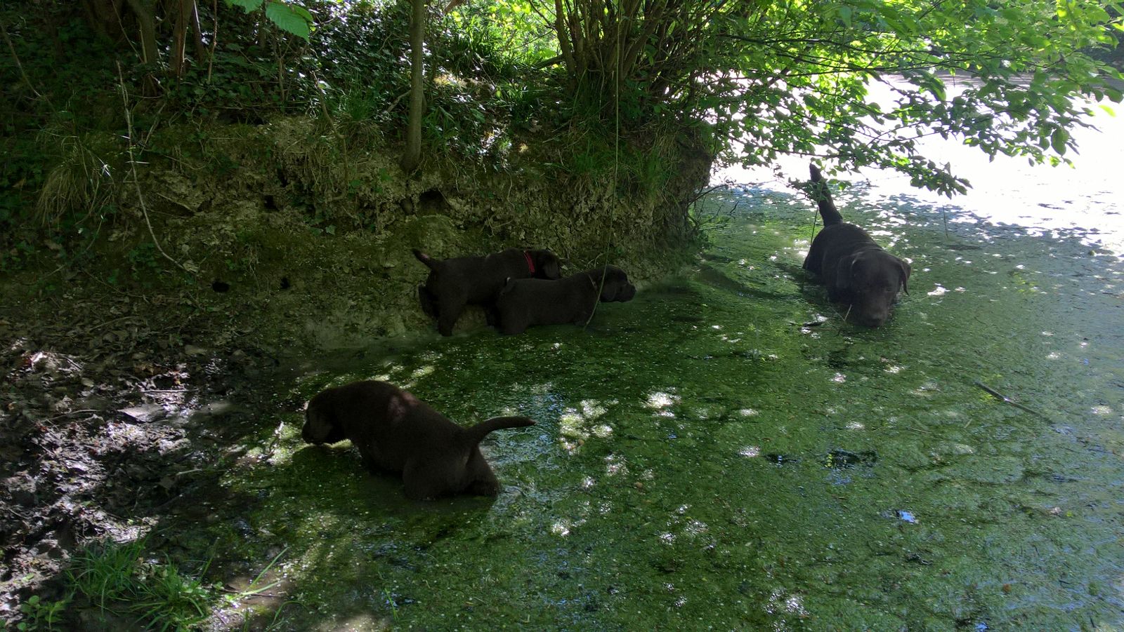  Viel Neues zu entdecken 