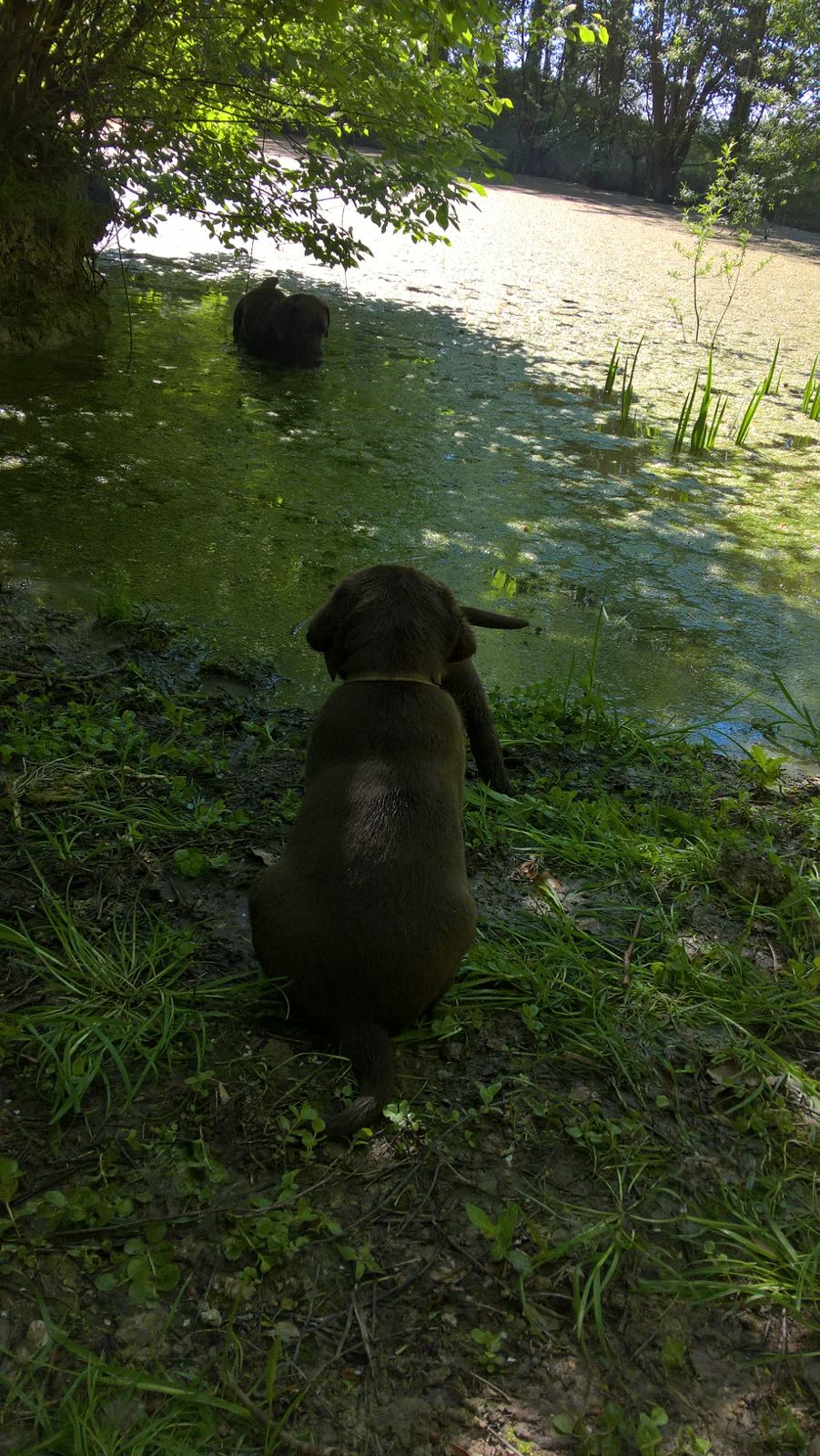  Erstmal sehen, was Mama macht 