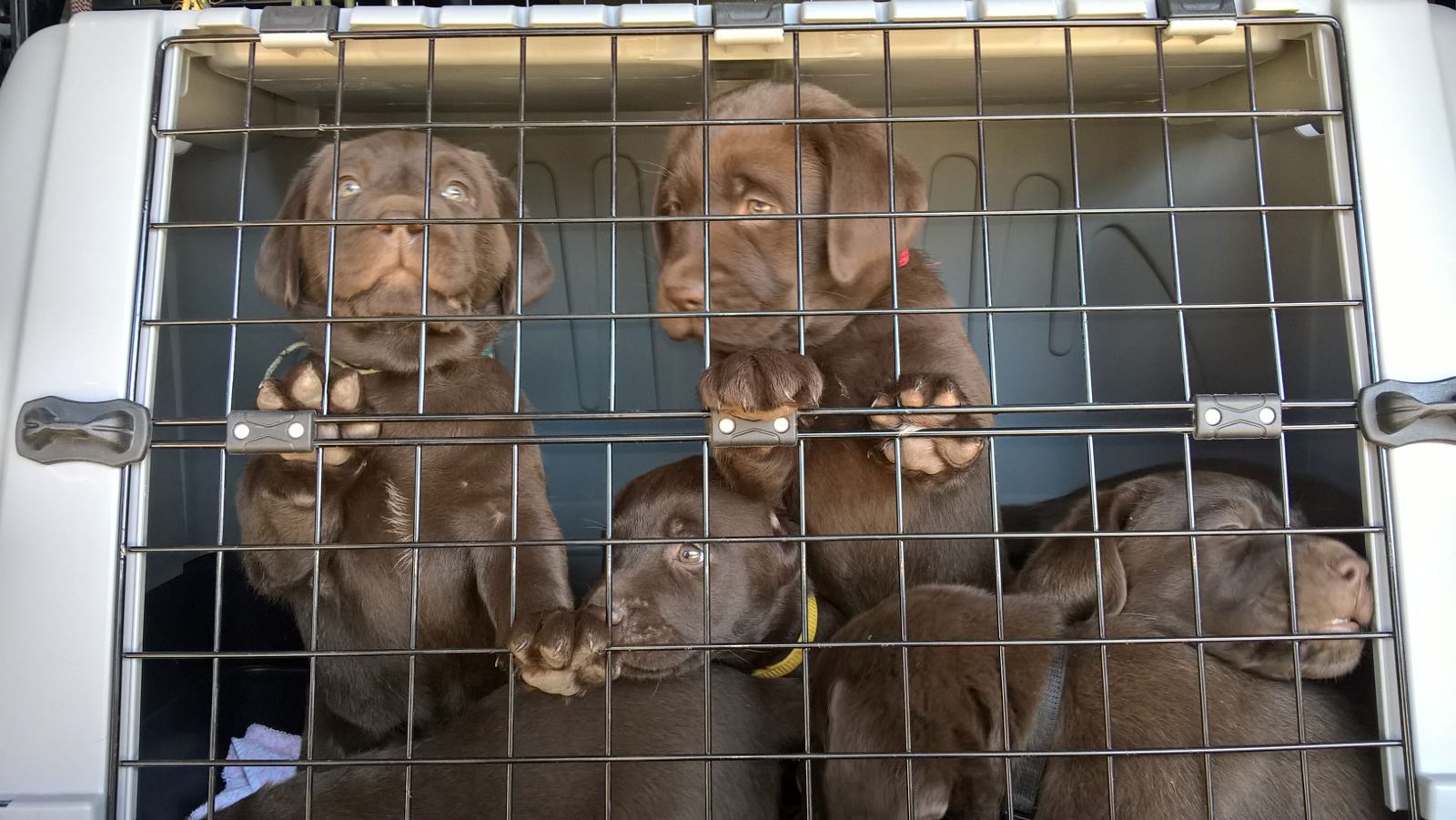  Erste Autofahrt mit Besuch ans Wasser 