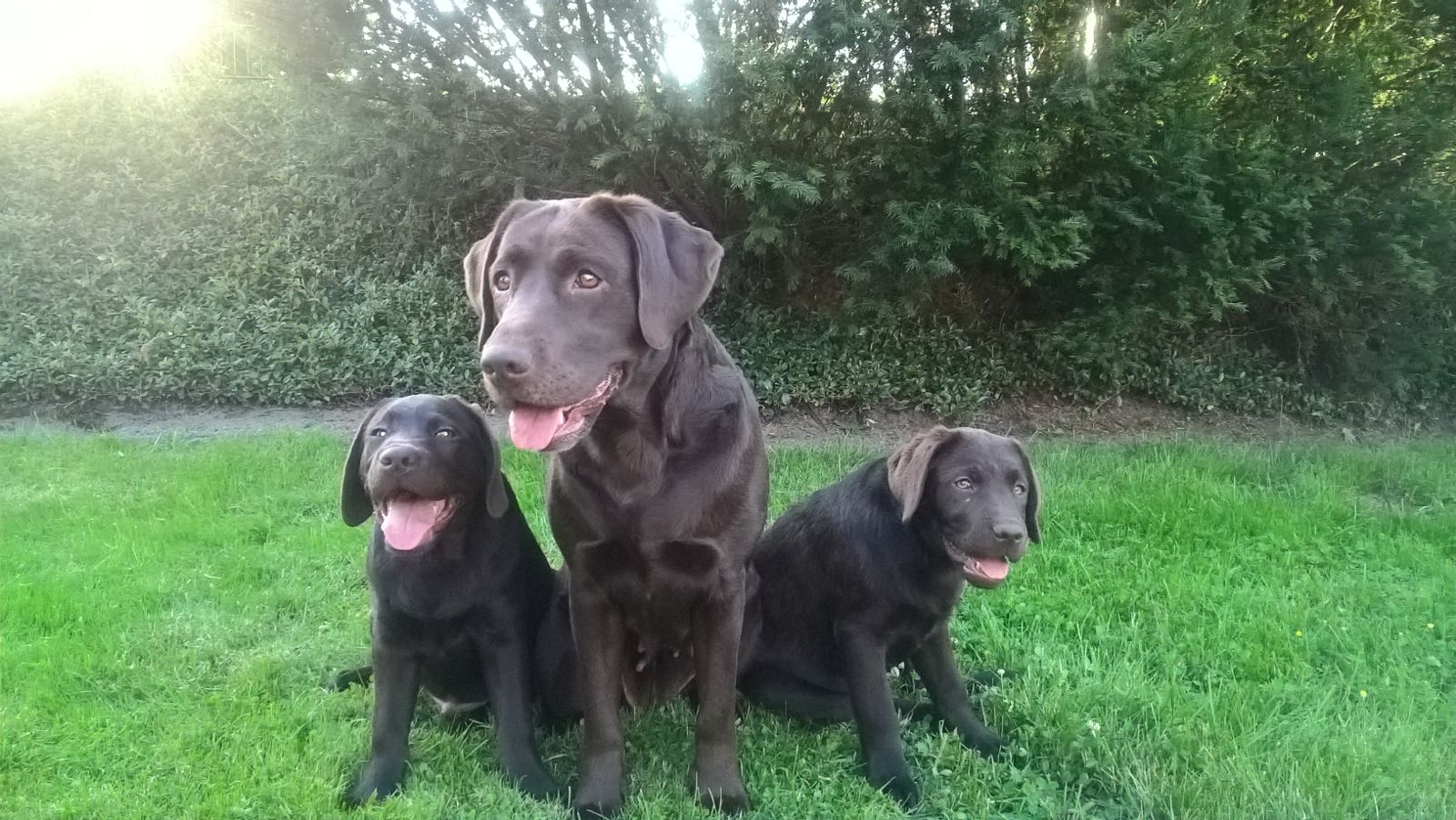  Alex und Amazing/Käthe zu Besuch 