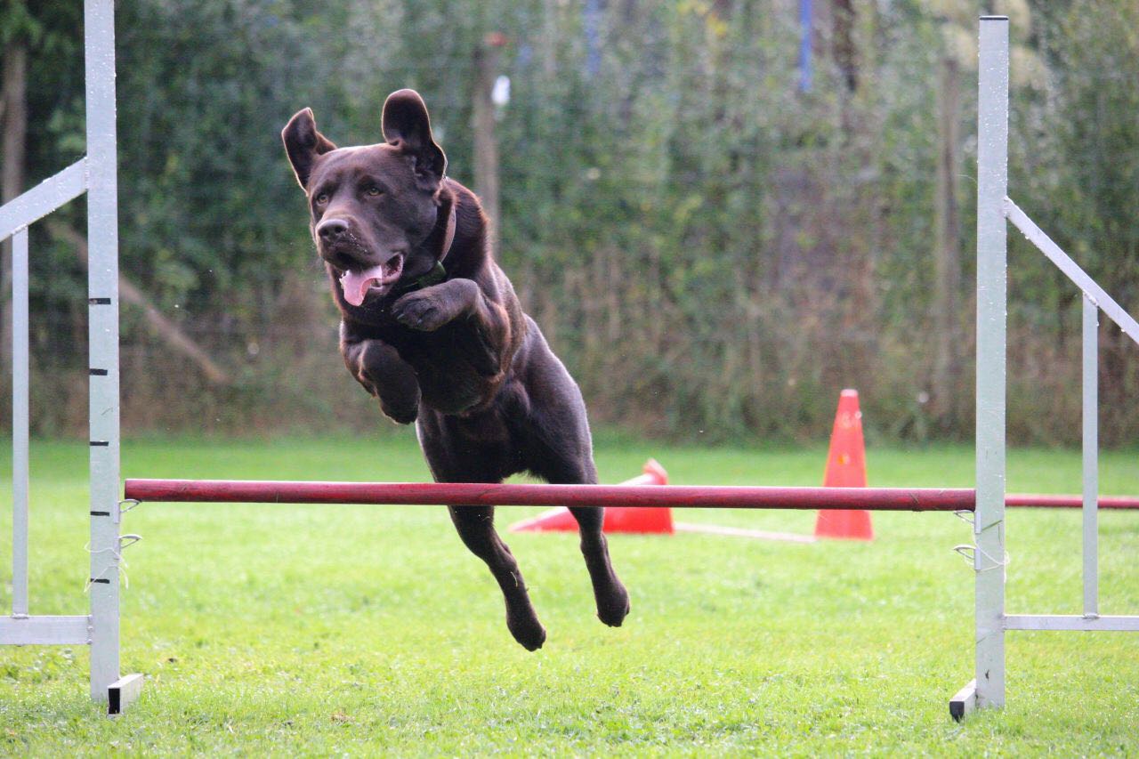  Aron/Jimmy ist der Schnellste 