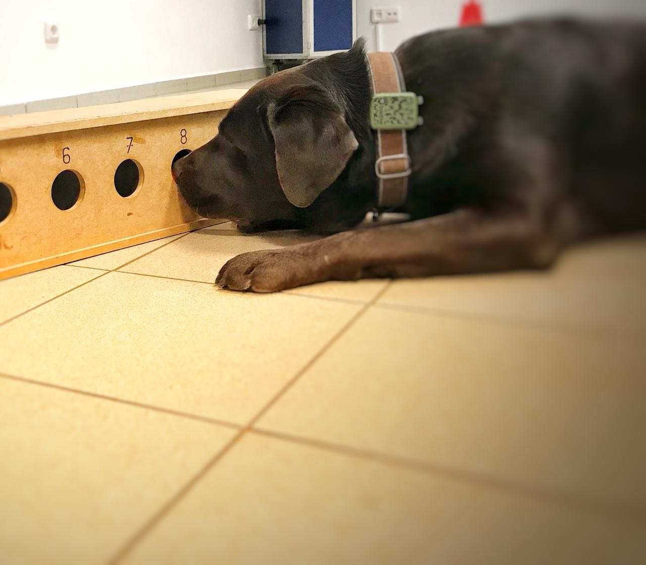  Aron/Jimmy beim Training 