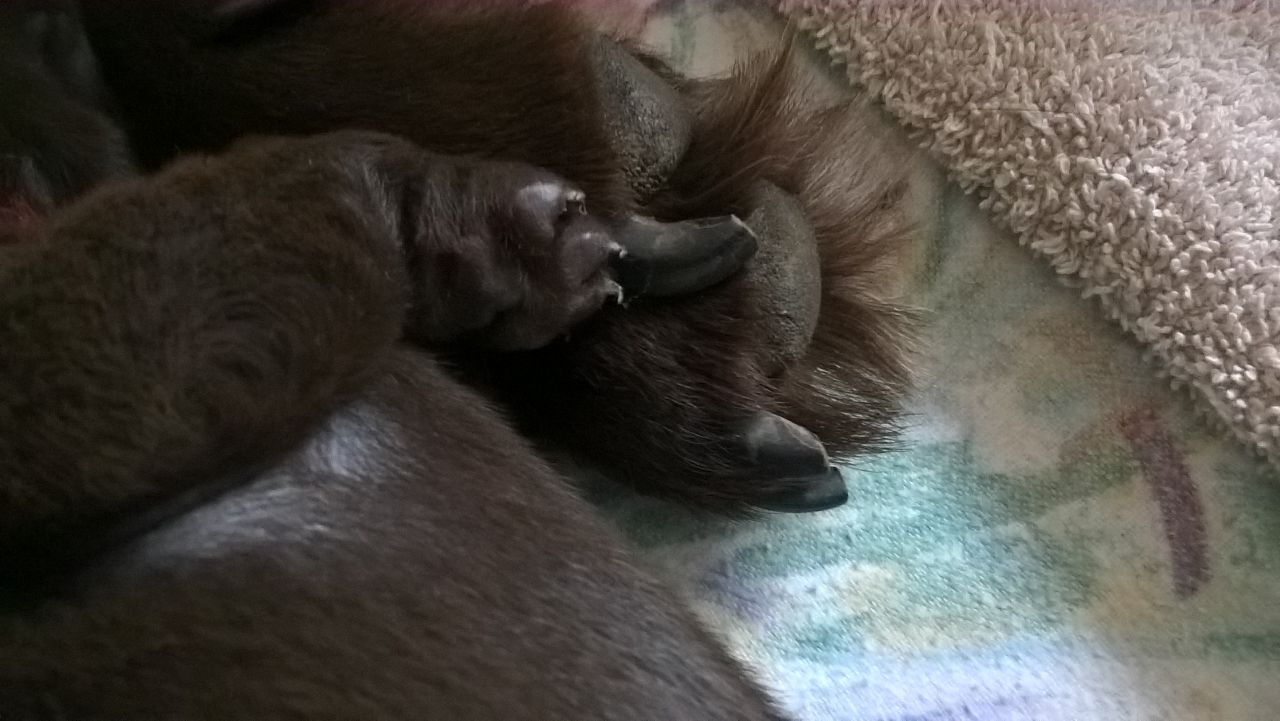  Sooooo groß will ich mal werden 