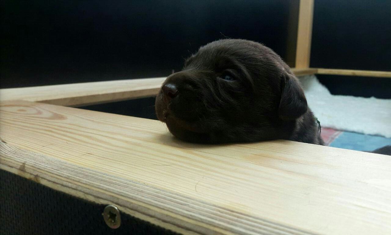  Mal schauen, was es noch so zu entdecken gibt 