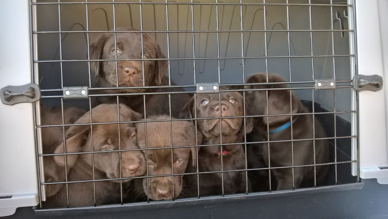  Erste Autofahrt ins Grüne 
