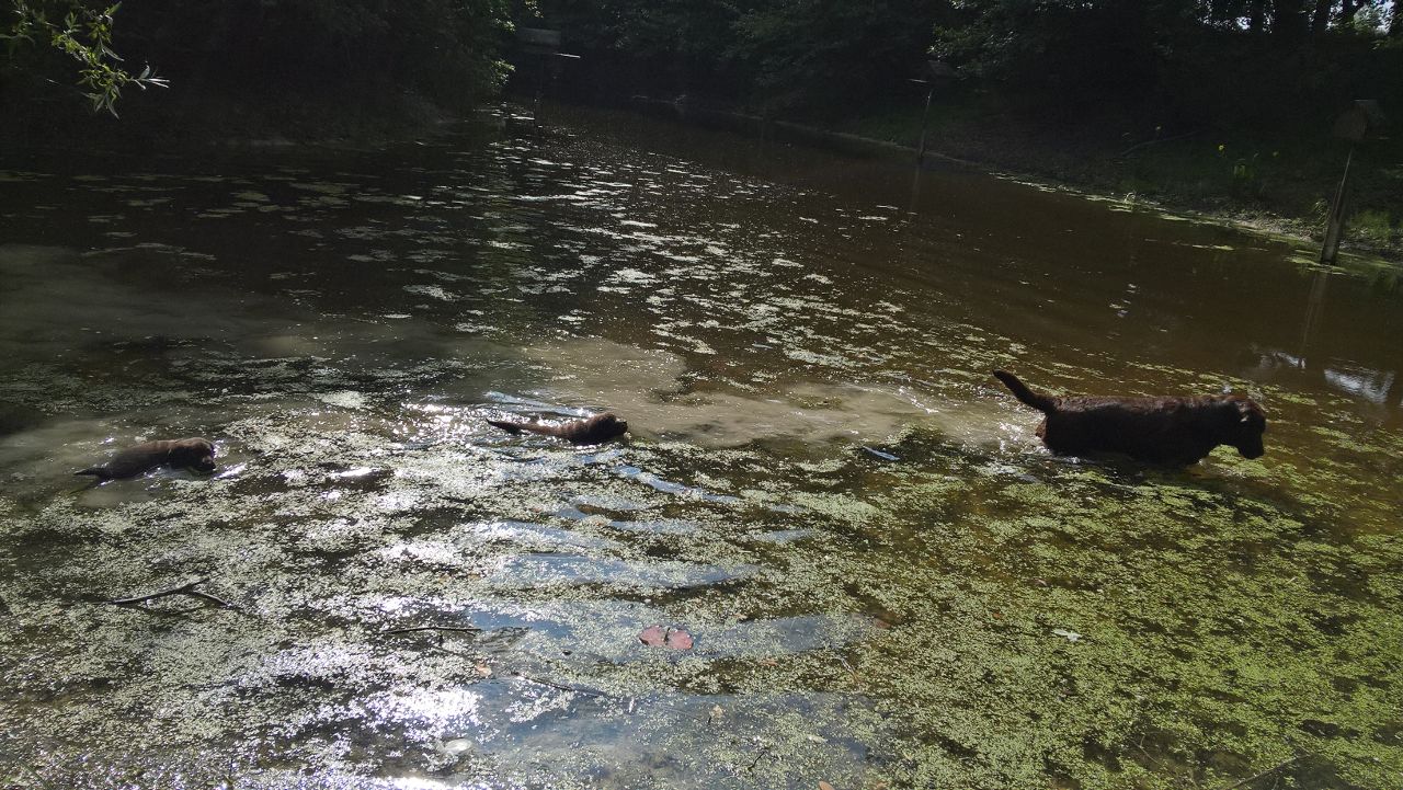  Schwimmen geht immer 