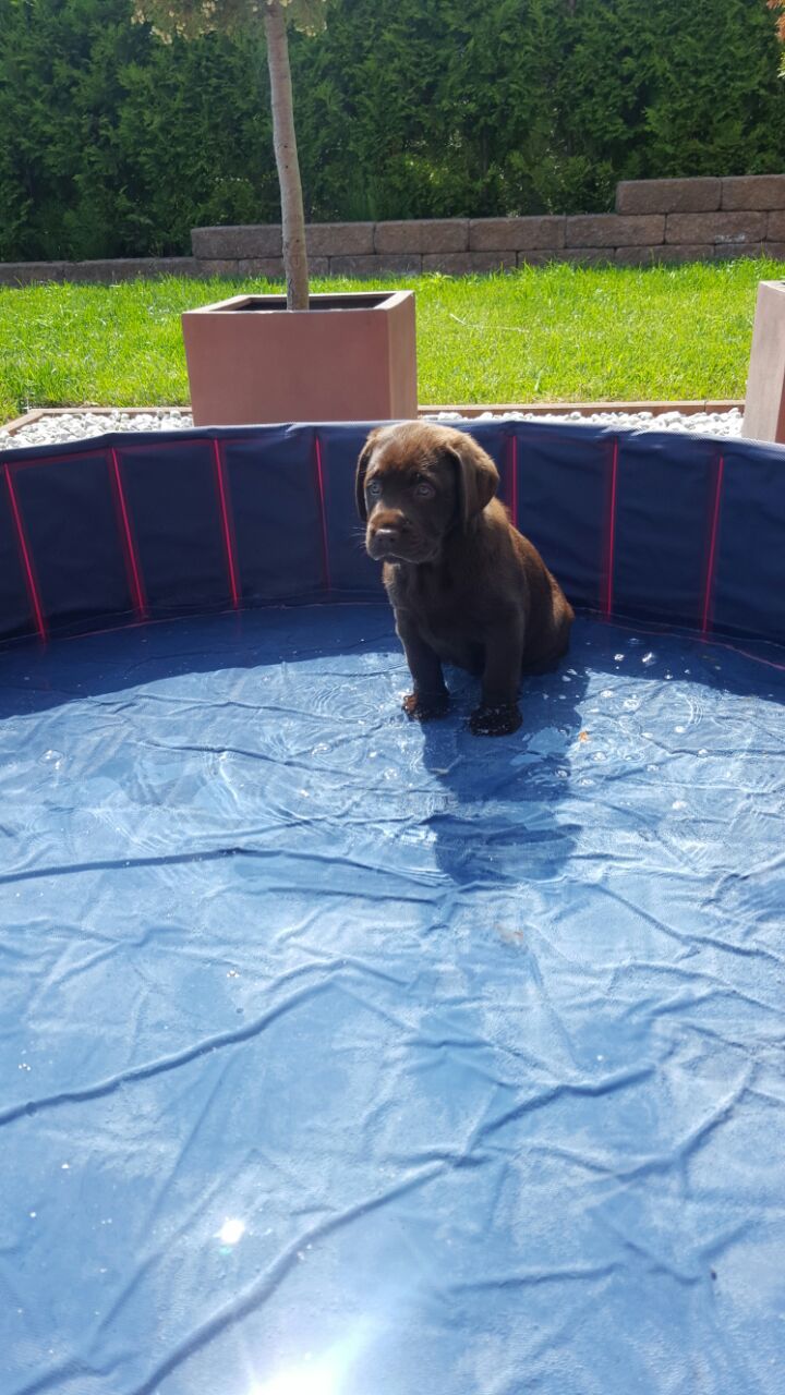  Bella genießt es im neuen Heim 