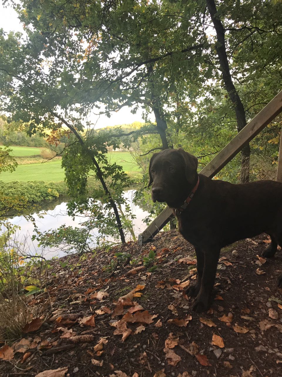  Liebe Grüße von Bella 