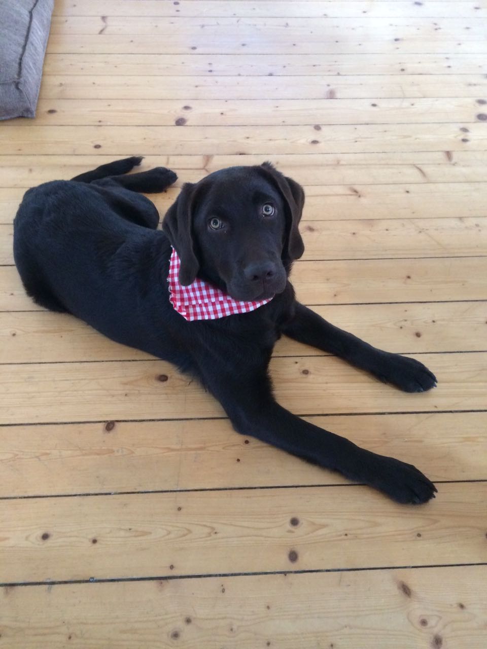  Grüße von Brown-Cara 