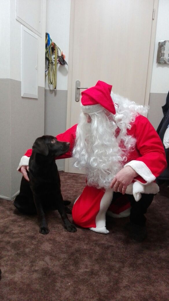  Branka wünscht schöne Weihnachten 