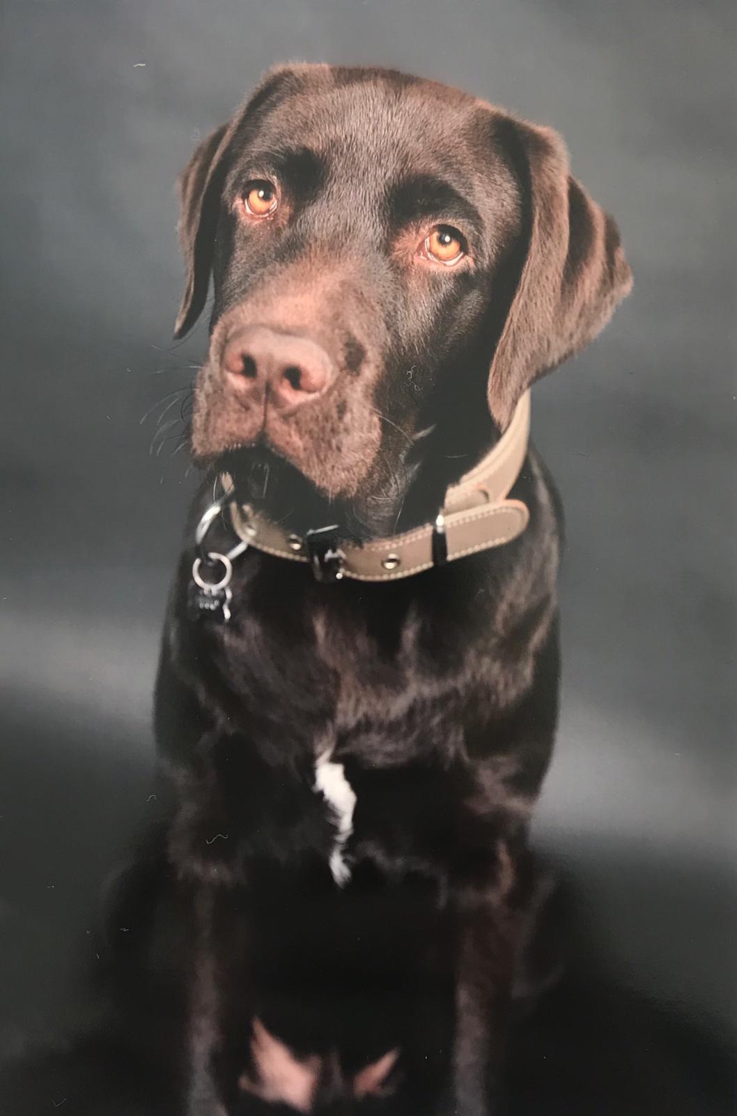  Fotoshooting von Hugo 