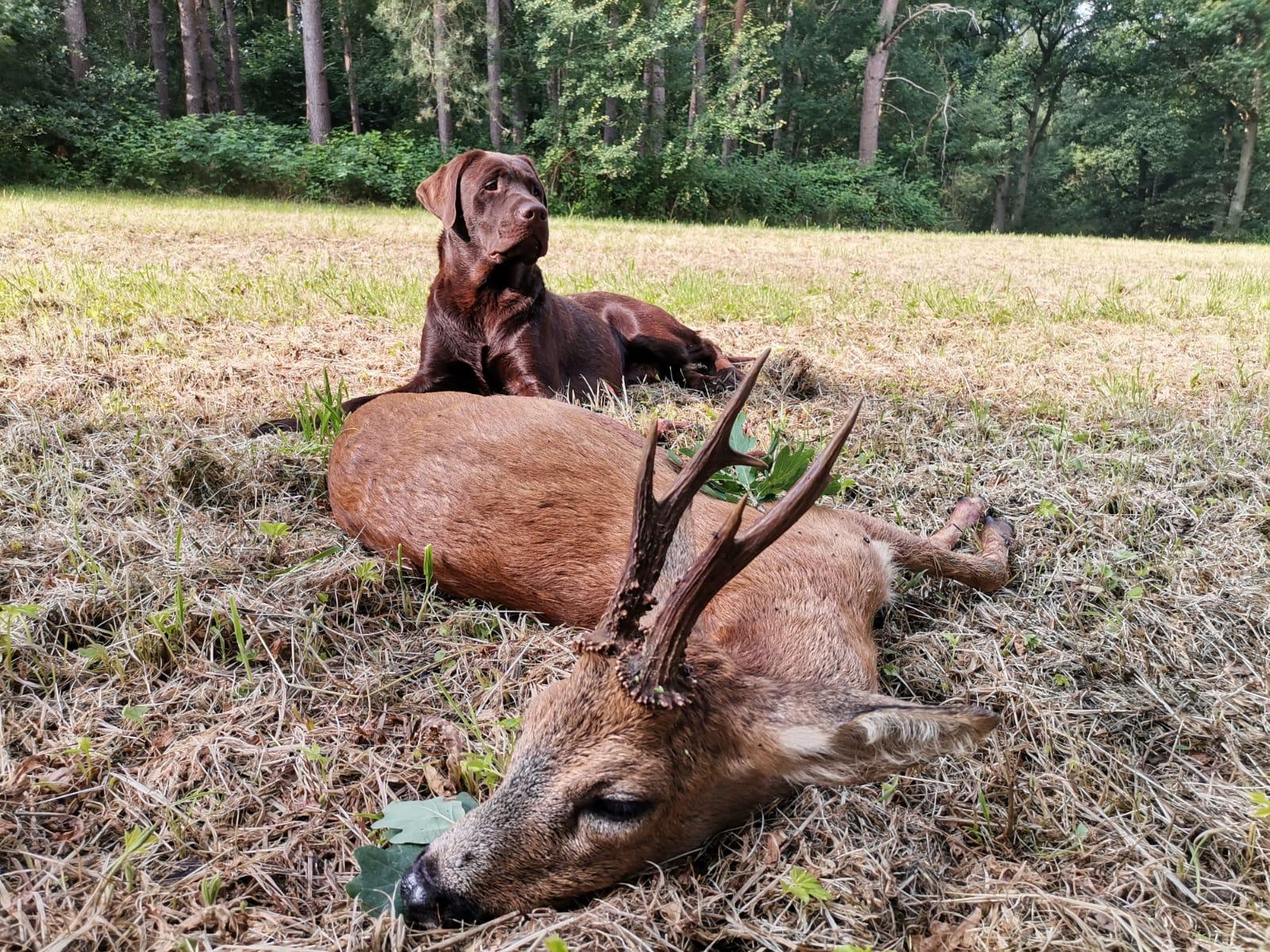  Otto genießt die Bockjagd 
